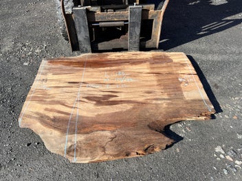 Image 1 of 18