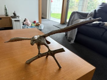 Image 1 of 13