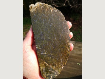 Image 1 of 8