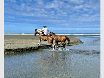 Image 1 of 9