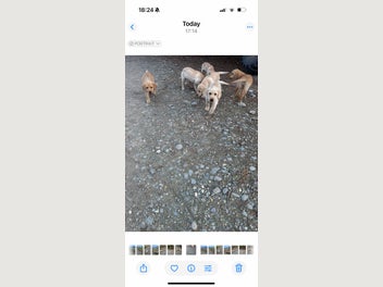 Image 1 of 14