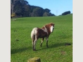Image 1 of 5