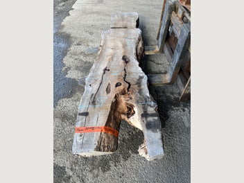 Image 1 of 19