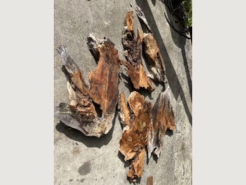 Image 1 of 15