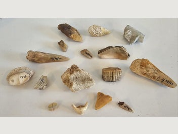 Image 1 of 20