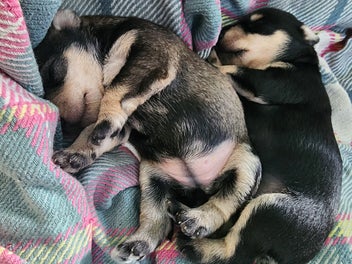 Image 1 of 4