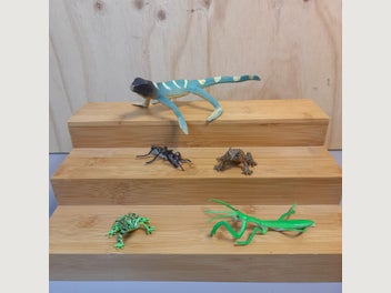 Image 1 of 8