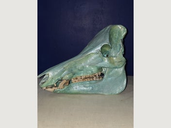 Image 1 of 7