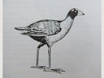 Image 1 of 20