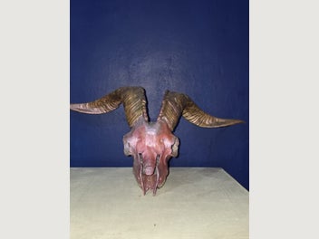 Image 1 of 7