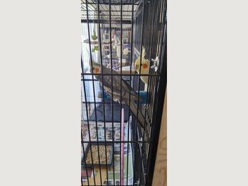 Image 1 of 15