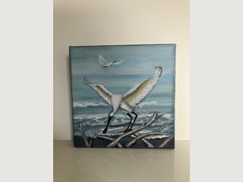 Image 1 of 12