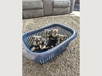 Image 1 of 13