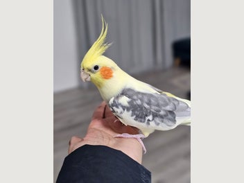 Image 1 of 6