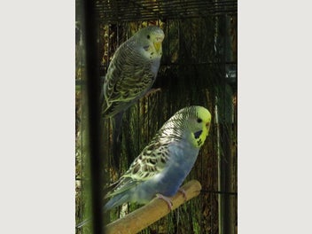 Image 1 of 10