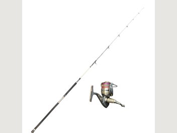 Image 1 of 10