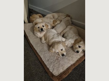 Image 1 of 20