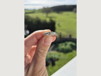 Image 1 of 11
