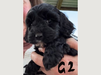 Image 1 of 18