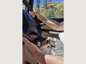 Image 1 of 12