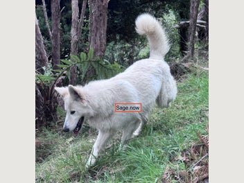 Image 1 of 7