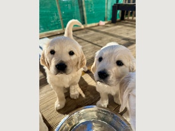 Image 1 of 15