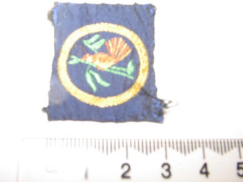 Image 1 of 1