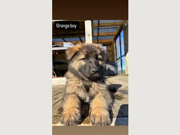 Image 1 of 5