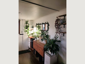 Image 1 of 20