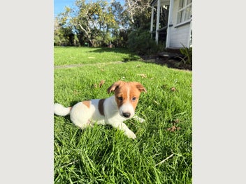 Image 1 of 7