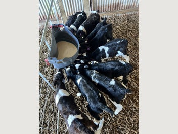 Image 1 of 3