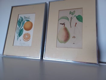 Image 1 of 13