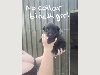 Image 1 of 20