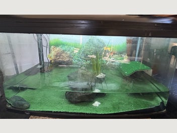 Image 1 of 8