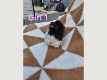 Image 1 of 10