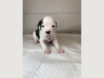 Image 1 of 13