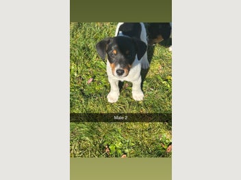 Image 1 of 6