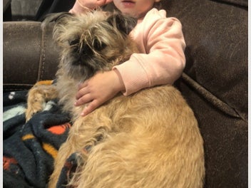 Image 1 of 11