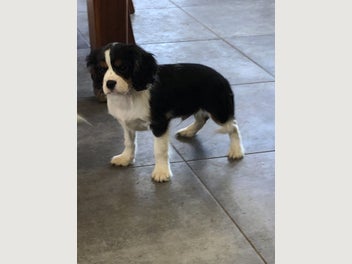 Image 1 of 4