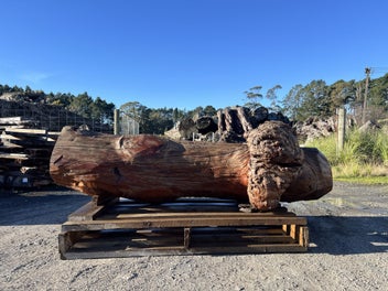 Image 1 of 20