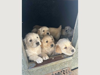 Image 1 of 20
