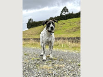 Image 1 of 9