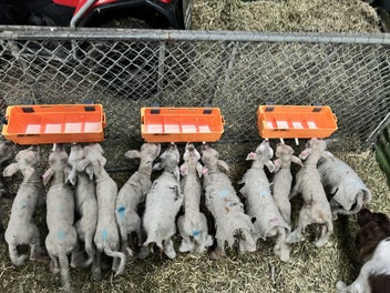 Image 1 of 4