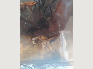 Image 1 of 9