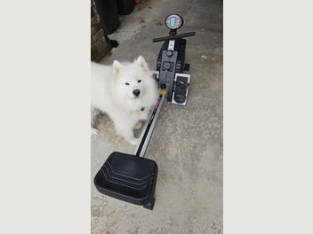 Image 1 of 8