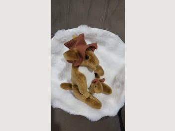 Image 1 of 11