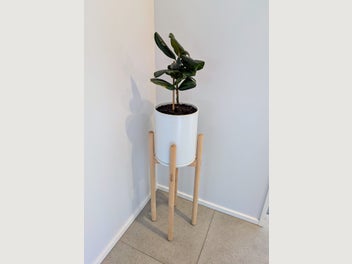 Image 1 of 5