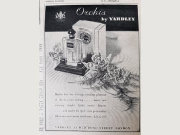 Image 1 of 14