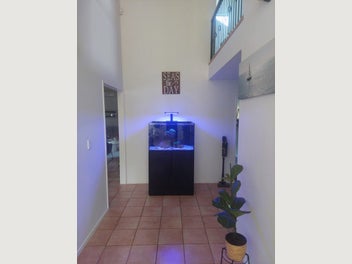 Image 1 of 11