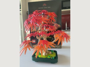 Image 1 of 2
